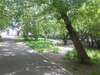 Гостиница Titmouse House Hostel Красноярск-6