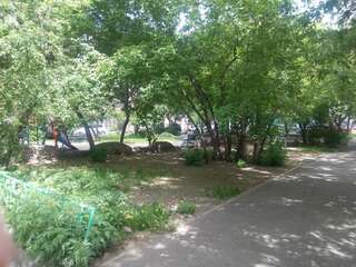 Гостиница Titmouse House Hostel Красноярск-7