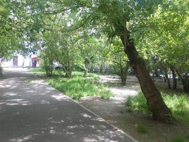 Гостиница Titmouse House Hostel Красноярск-9